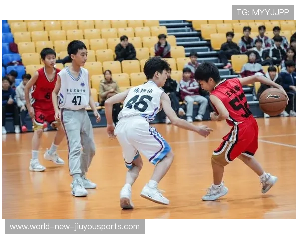 篮球综艺节目对青少年影响的研究,篮球对于青少年的重要性 篮球综艺节目对青少年影响的研究,篮球对于青少年的重要性